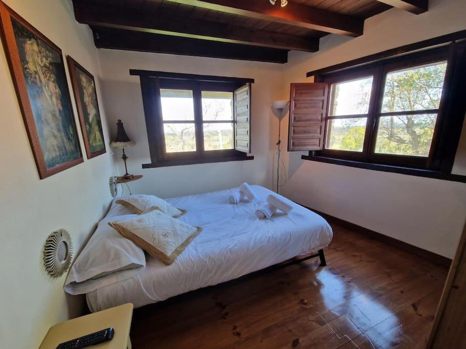 14A04 Casa De Piedra Colunga Villa Buitenkant foto